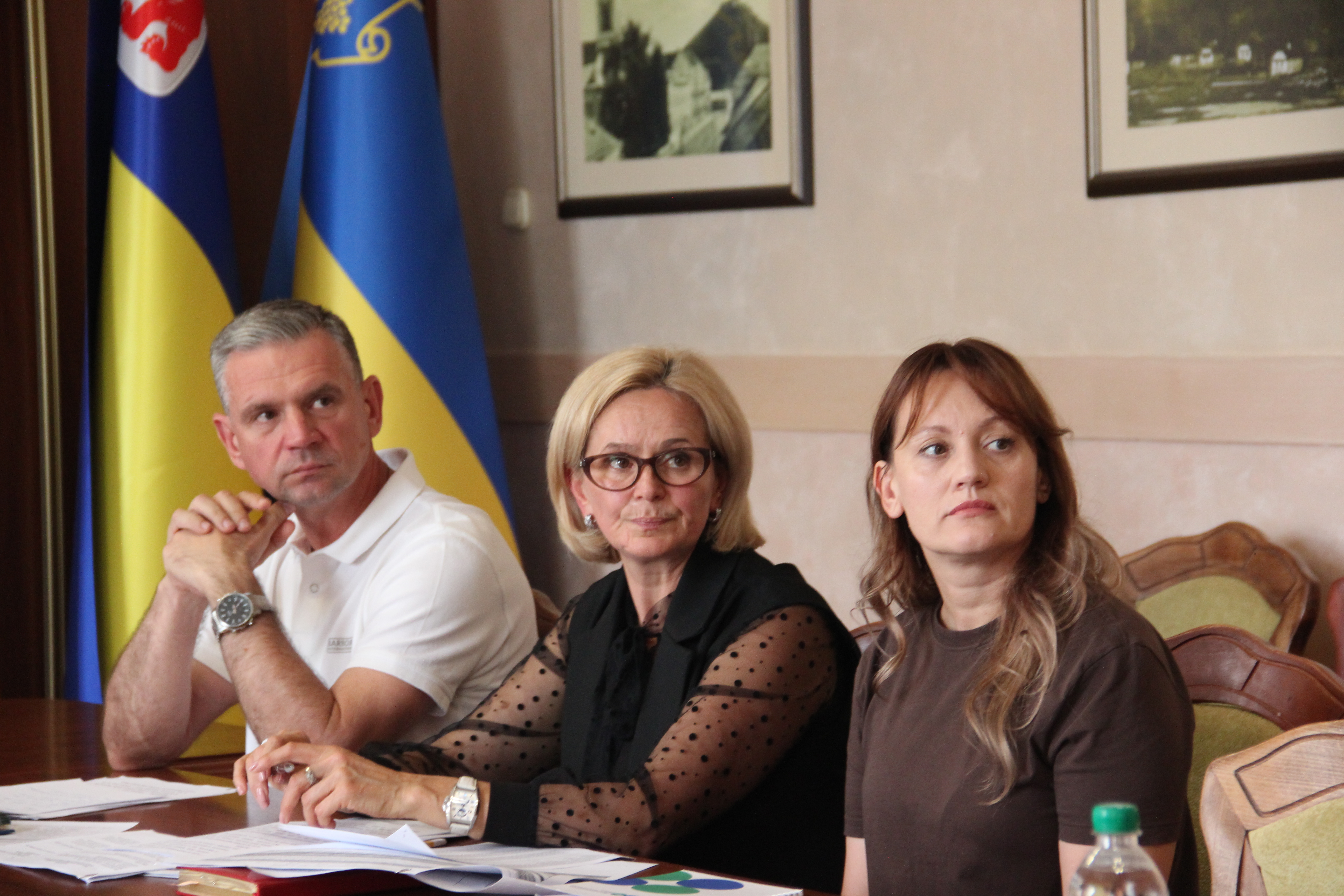 Наповнення місцевих бюджетів та скорочення податкового боргу : фінансова спроможність громад Закарпаття. Фото № 4/3