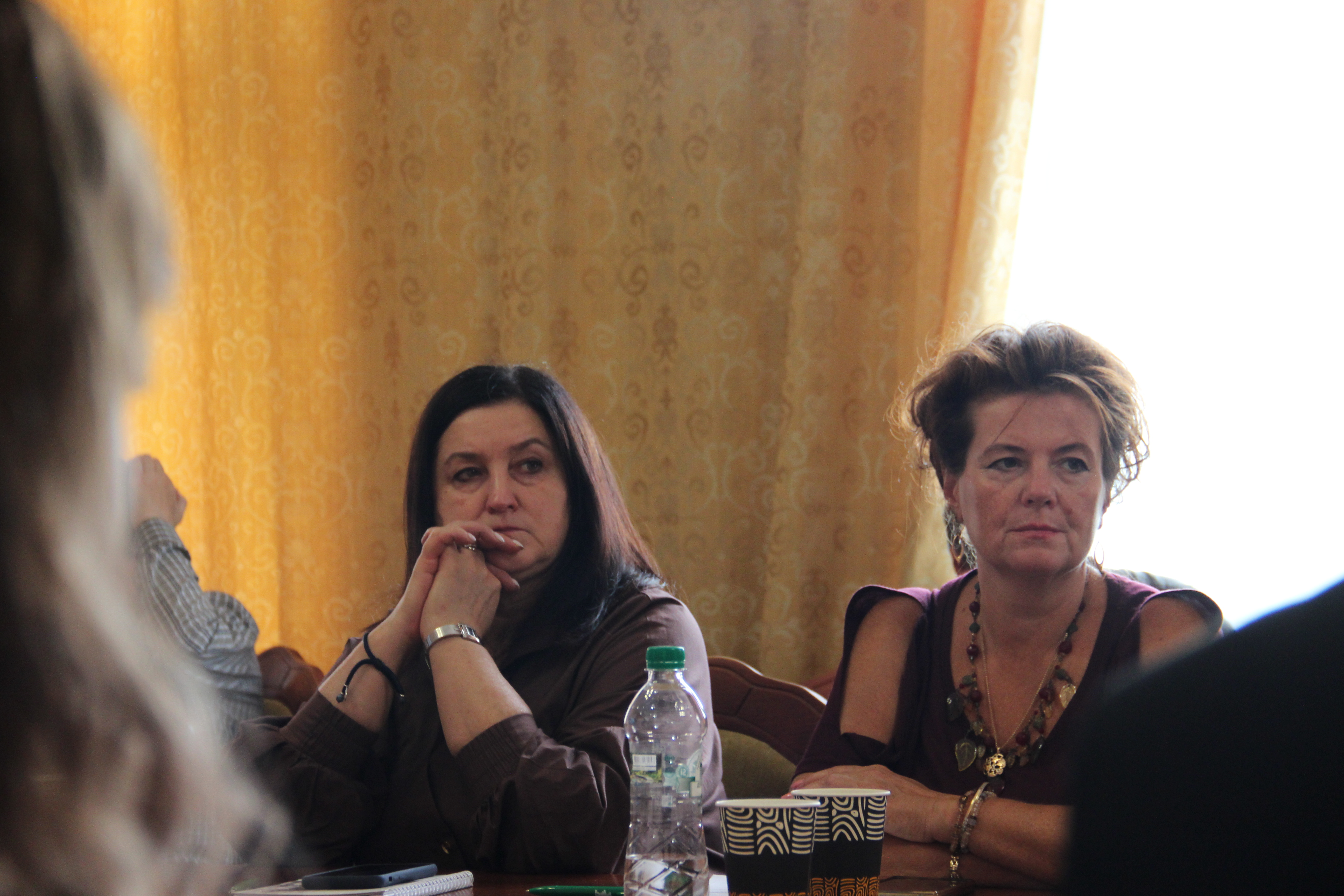 Наповнення місцевих бюджетів та скорочення податкового боргу : фінансова спроможність громад Закарпаття. Фото № 5/4