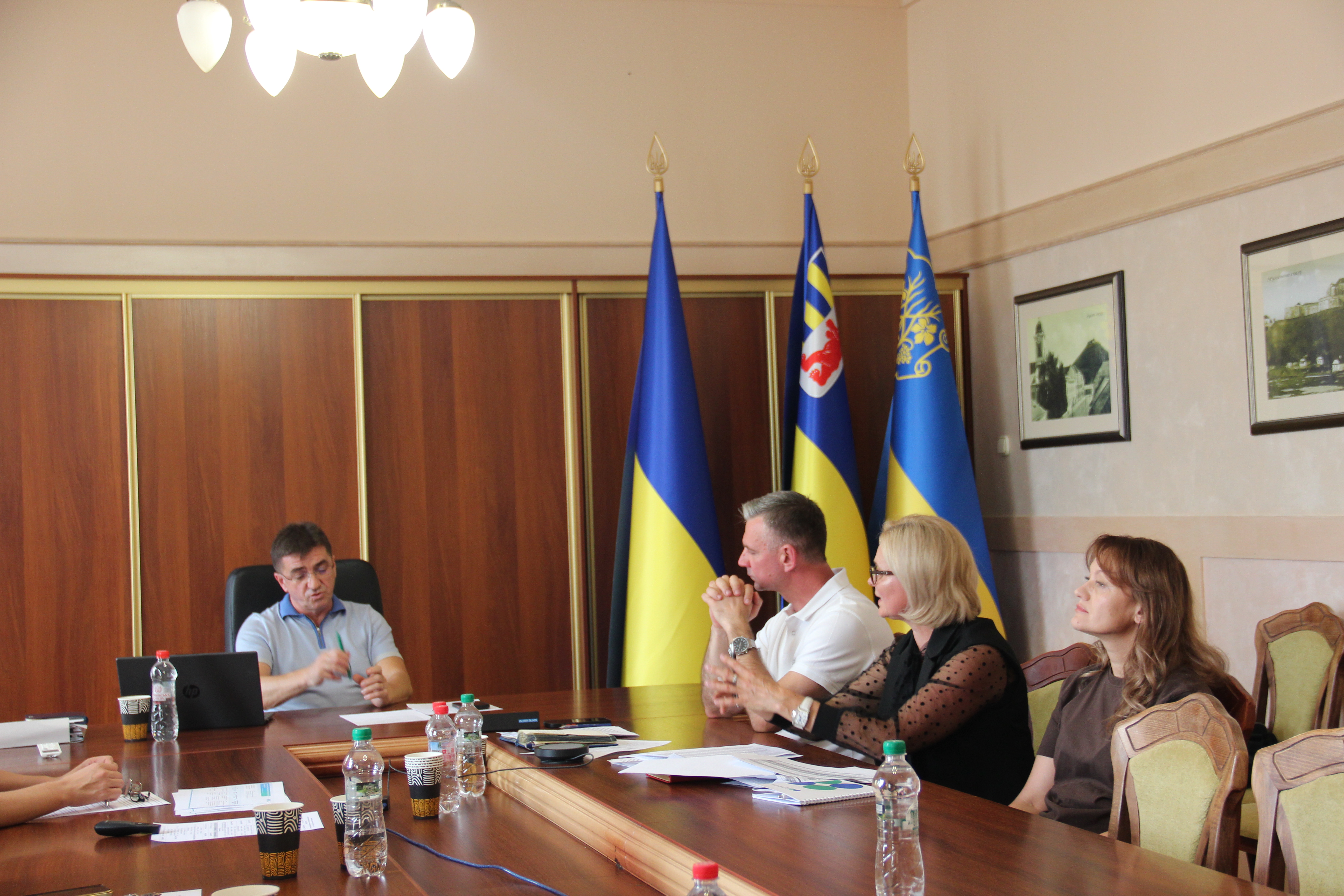 Наповнення місцевих бюджетів та скорочення податкового боргу : фінансова спроможність громад Закарпаття. Фото № 7/6