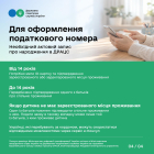 Понад 417 тисяч е-Карток платників податків оформили українці через Дію. Фото № 3/2